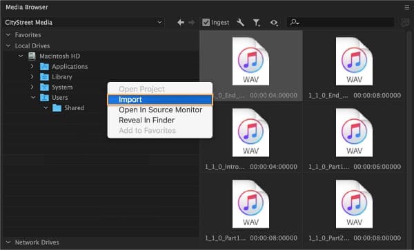 add tidal music to premiere pro