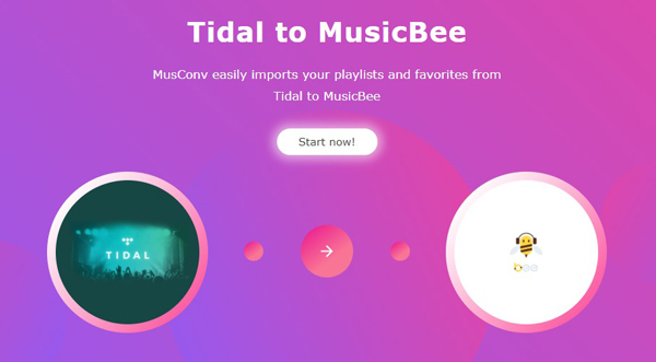 transfer tidal to musicbee by musconv